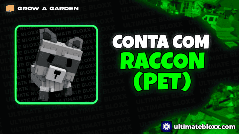 Conta com Raccon